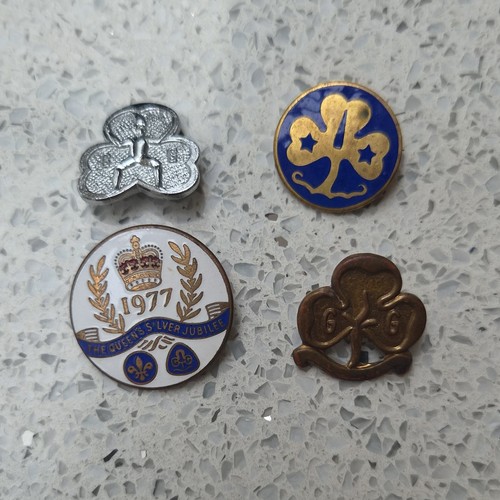 Guides brownies enamel - guides/brownies,